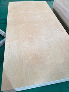 Contrachapado Fenólico Grado DD de Venta Caliente de Fábrica Vietnamita con Chapa de Abedul para Muebles y Construcción - Product Image 5