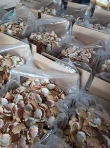 ผงเปลือกปู วัตถุดิบพรีเมียมสำหรับโภชนาการสัตว์และอาหารเสริม - Product Image 2