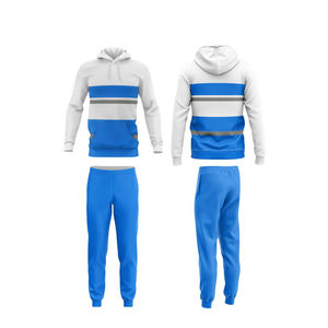 2025 vente en gros personnalisé hommes de haute qualité survêtements plaine entraînement col rond avec capuche Streetwear hiver survêtement pour unisexe - Product Image 2