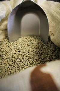 Café vert Arabica de spécialité du Vietnam certifié ISO 22000, 98% de grains mûrs, taille 18, 100% naturel, qualité G1/G2, sac de 1000 kg, TNFOOD - Product Image 3