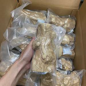 Jouets en corde de coco écologiques pour chiens, friandises à mâcher sûres pour le nettoyage dentaire, qui réduisent l'anxiété et favorisent une mastication sereuse - Product Image 5