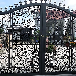 Améliorez la sécurité de la maison avec les portes en acier de mur de limite: solutions durables et esthétiques de porte - Product Image 3