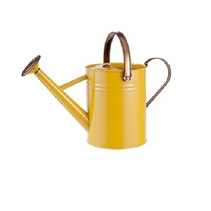 Arrosoir en métal galvanisé au design fantastique, couleur argent, style antique, pour la maison et le jardin, en gros - Product Image 5