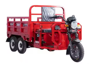 Motocarro de Carga con Motor de Gasolina al Mejor Precio, Triciclo Motorizado de 250 CC, Dos Asientos para Adultos, 3 Ruedas, Carrocería Abierta, 60 V, 501-800 W - Product Image 3