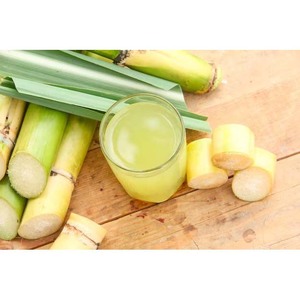 Canne à sucre pour l'agriculture, plante à haut rendement pour la production d'éthanol et l'agriculture biologique, origine Belgique, durée de conservation de 2 ans - Product Image 1