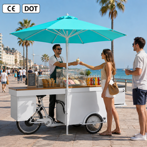 Tricycle à glaces mobile pour moto, à énergie solaire, poussé à la main, chariot à glaces sur vélo, modèle très demandé d'Etodevice - Product Image 1