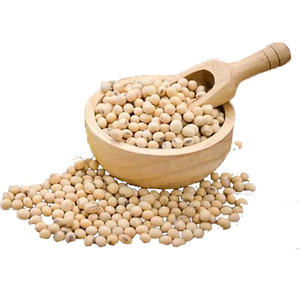 ถั่วเหลืองแห้งเวียดนามออร์แกนิกบริสุทธิ์บรรจุภัณฑ์จำนวนมากราคาขายส่งราคาถูก - Product Image 1