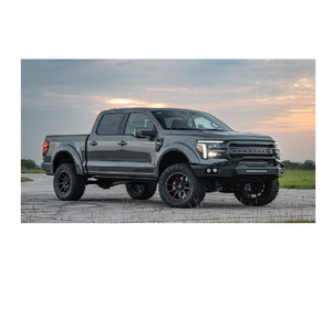 Ford F-150 d'occasion à vendre – Moteur essence de haute qualité, transmission automatique, pick-up fiable, disponible dans le monde entier dès maintenant - Product Image 2