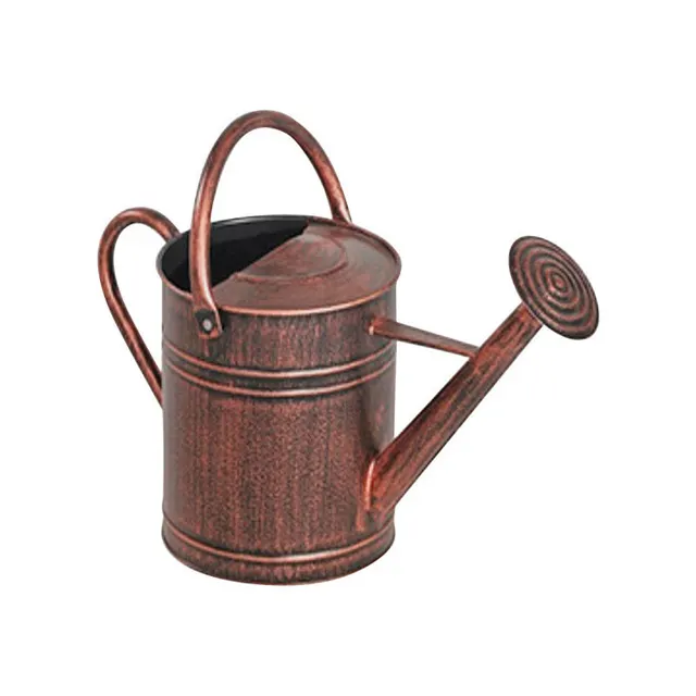 Regador de metal Garden Tools Water Can alta qualidade Safety Health Metal Watering Can a preço grossista