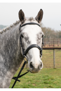 Construire une bride à manivelle anglaise en gros équine licou tack équitation tête équipement équestre bride de cheval - Product Image 4