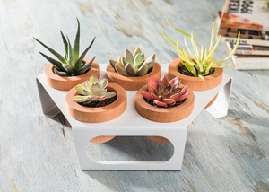 Modern Wooden <b>Succulent</b> <b>Planter</b> Wood Plant Pot White Metal Stand Home Office Decor Plant Holder Desk Plant Display European - Product Image 3