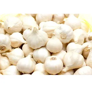 White garlic harvested from Ly Son island Vietnam with unique aroma and competitive price