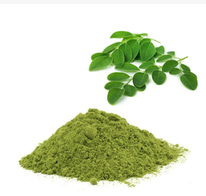 Poudre de Moringa de haute qualité poudre de feuille de Moringa biologique 2024 marque privée meilleur prix biologique naturel poudre de Moringa de feuille en vrac - Product Image 2