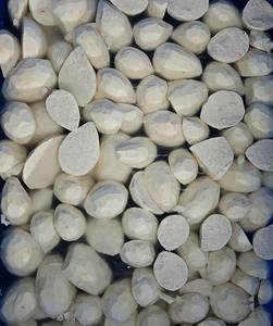 Taro congelado Premium cortado y empaquetado en Vietnam para compradores mayoristas y de exportación - Product Image 3