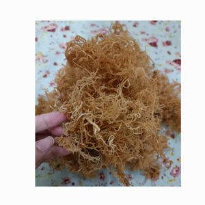 ต้นมอสแห้ง-ไอริชมอสแห้งสาหร่าย Eucheuma cottonii - 100% ธรรมชาติธรรมชาติที่ทำจากธรรมชาติ, บริสุทธิ์, ปลอดจีเอ็มโอ - Product Image 6