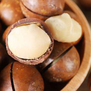 Noix de macadamia bon marché et saines de haute qualité disponibles à la vente/noix de macadamia à chair blanche à peau brune prêtes à être livrées - Product Image 2
