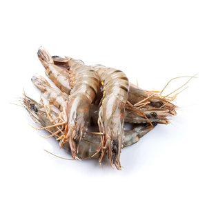 กุ้งไทเกอร์สด/กุ้งป่า/อาหารทะเลแช่เย็นขายร้อน - Product Image 5