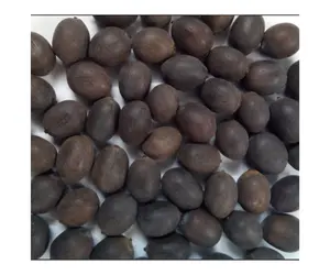 Органические вьетнамские высушенные черные семена лотоса высокого качества по лучшей цене