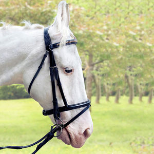 Rhin setone cheval cuir bride rembourrée avec cuir de vache souple pour l'équitation - Product Image 2