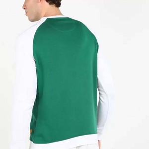 Sudadera Hip Hop 100% algodón de gran tamaño personalizada para hombre, básico bordado con cuello redondo pesado para invierno, teñido liso - Product Image 2