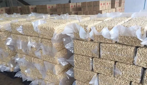 เม็ดมะม่วงหิมพานต์ดิบคุณภาพพรีเมียม อบแห้งทั้งเม็ด ขนาด W320 W240 W180 บรรจุภัณฑ์สุญญากาศ ติดต่อ +84 865216698 (คุณลูซี่) - Product Image 2