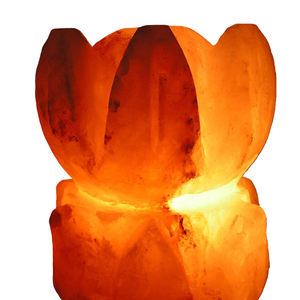 Lampe de sel rose de l'Himalaya en forme de fleur naturelle artisanale du Pakistan à vendre - Product Image 2