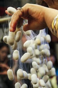 Capullo de seda de corte ecológico para gusano de seda Skicare para cosméticos - Product Image 5