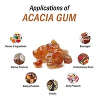 ACACIA Extra Puro Somos los Fabricantes y Exportadores de Reactivos de Laboratorio y Productos Químicos Finos