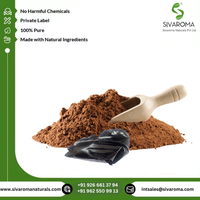 Fourniture directe 100% poudre d'extrait de résine Shilajit de qualité supérieure solvant de poudre d'extrait de plantes naturelles pures de l'usine en gros