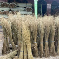 Meilleures ventes de bâtonnets de balai de noix de coco en feuille de palmier Nipah pour la fabrication de balais à bas prix du Vietnam