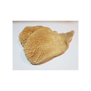 Calidad Frozen Beef /Buffalo Honeycombs Tripe Buffalo Frozen Honeycomb Tripe para suministro - Product Image 6