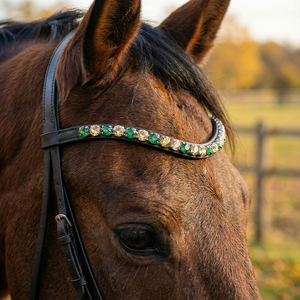Bride anglaise élégante, frontalier en cuir noir de qualité supérieure, cristaux argentés, couleur et taille personnalisables, qualité certifiée A+ - Product Image 3