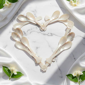 Cuillère élégante en nacre, cuillère à caviar en nacre pour l'hôtellerie, les événements de restauration et les maisons de luxe, cuillère écologique de petite taille - Product Image 3