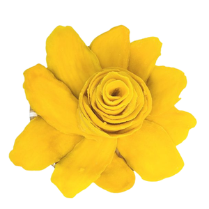 VENTA CALIENTE Precio barato Hecho en Vietnam Venta al por mayor de alta calidad FD Mangos secos a granel 70g/100g/250g - Product Image 2