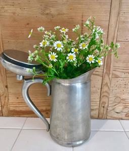 Seaux de jardinières en métal faits à la main de qualité supérieure pour la décoration de la maison et du jardin Jardinières en métal à vendre - Product Image 6