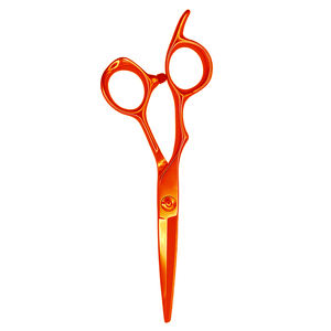Ciseaux de coiffeur professionnels de coupe de cheveux 5.5 "ciseaux de Salon d'acier inoxydable de repos de doigt de Fix pour la beauté - Product Image 3