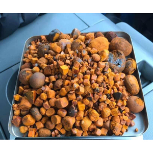 Cálculos biliares de extracto de buey de alta pureza de ganado con 2 años de vida útil para usos tradicionales - Product Image 6