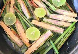 MEZCLA BOTANILITE CITRONELLA - Product Image 4