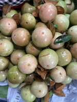 Verse Vietnamese Sterappel, hoge kwaliteit, zoet tropisch fruit, leverbaar voor export, groothandelskopers.