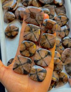 Cabochon de pierres précieuses en vrac Chiastolite de qualité supérieure Cabochon de chiastolite de haute qualité pendentif de bijoux en argent à dos plat Gem - Product Image 1