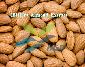 Poudre d'amande d'extrait naturel pur d'approvisionnement direct d'usine HGO (qualité alimentaire) 50% (extrait standardisé) - Product Image 2