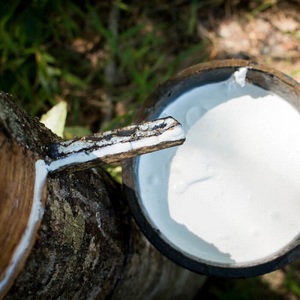 Natural Liquid <b>Rubber</b> Latex Raw Material Tree Sap for Industrial Molding and <b>Rubber</b> Products Processing - Product Image 1