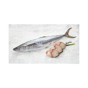 Pescado Kwi Kwi congelado de alta calidad ofrecido a precios competitivos para distribuidores y procesadores de mariscos. - Product Image 6
