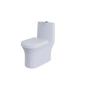 Esportazione di qualità bianco ceramica occidentale sanitari sedili un pezzo servizi igienici per la vendita al miglior prezzo da esportatore indiano