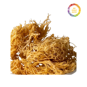 99 Gold Quality Dried Irish Sea Moss Exceptional <b>Seaweed</b> From Vietnam - Product Image 3