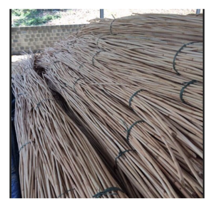 Canne en rotin naturel du Vietnam, fournisseur en gros pour les usines d'artisanat et les articles de décoration intérieure - Product Image 4