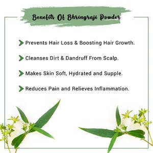 Polvo de Bhringraj para el Crecimiento y Reparación del Cabello, Tratamiento Herbal para el Cuidado del Cabello con Aceite de Árbol de Té, Aceite Natural Fragante para el Cuero Cabelludo - Product Image 5