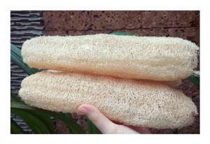ไม้ก๊วยคุณภาพดี - Loofa/Luffa - ไม้ก๊วยแบบใช้แล้วทิ้งของโรงแรมธรรมชาติจากเวียดนามในราคาถูก - Product Image 6