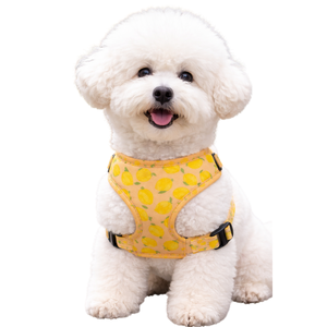 Pink Pattern Adjustable Dog Harness Lightweight <b>Padded</b> Pet Chest Vest with Breathable Mesh - Product Image 6