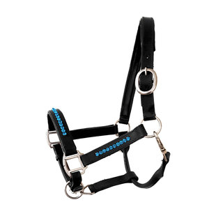 Licou équestre en cuir noir et bleu clair, fabricant de licou en cuir de cheval - Product Image 6